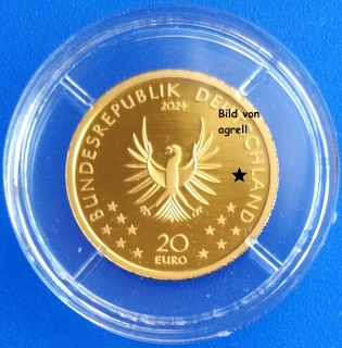 20 Euro Goldmünze Deutschland 2024