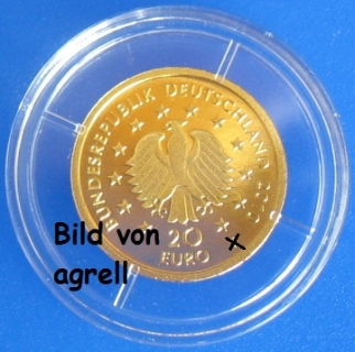 20 Euro Goldgedenkmünze Deutschland 2010 -- Eiche "A"