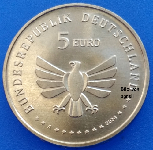 5 Euro Gedenkmünze Deutschland 2024 - Grünes Heupferd "A"