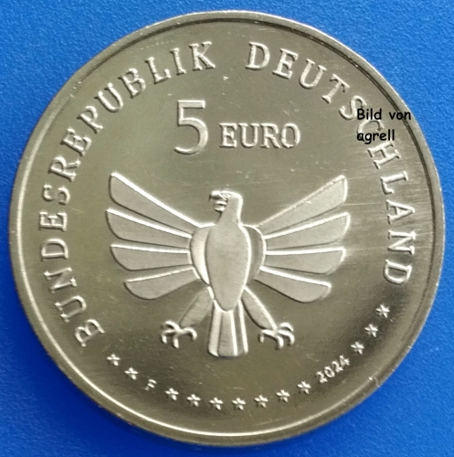 5 Euro Gedenkmünze Deutschland 2024 - Hainschwebfliege "F"